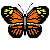 Ini Rama-Rama This Butterfly And It Wing Move